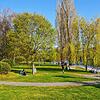 Noch ist viel Platz im Rheinuferpark. Das wird sich im Sommer ändern. Die Gemeinde bereitet sich auf den Badebetrieb vor.