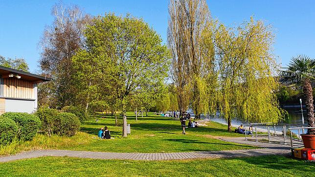 Noch ist viel Platz im Rheinuferpark. Das wird sich im Sommer ändern. Die Gemeinde bereitet sich auf den Badebetrieb vor.