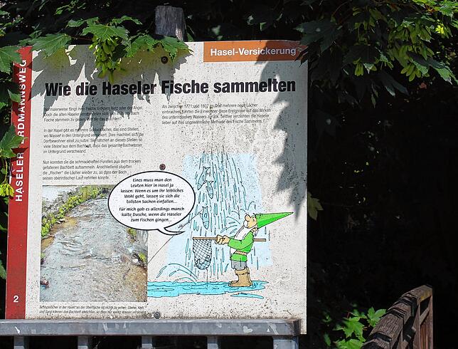 Bild 9: So schön ist Hasel