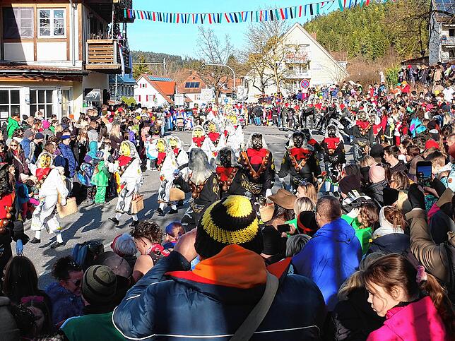 Bild 21: Großer Jubiläumsumzug der Narren in Niedereschach – Teil 2
