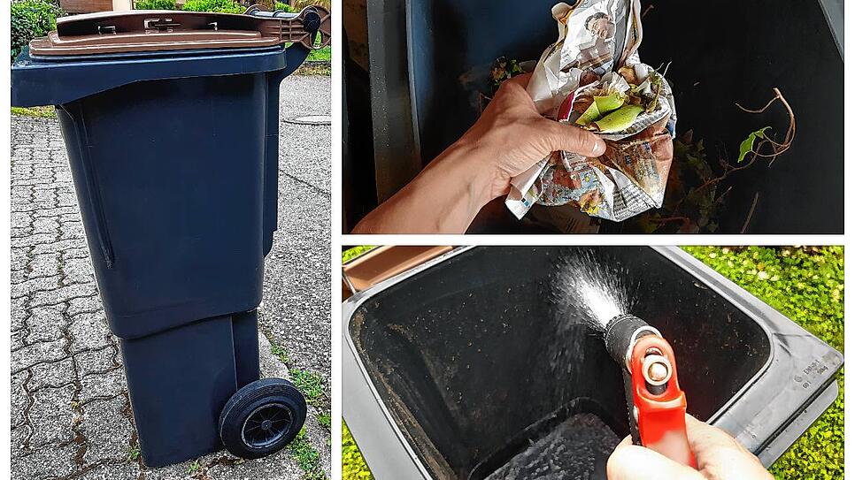 Damit die Biotonne im Sommer nicht müffelt und von Insekten befallen wird, gibt es einige Tricks.