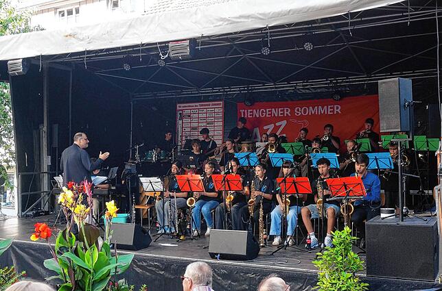 Bild 5: Tiengener Jazzfest verbreitet gute Laune
