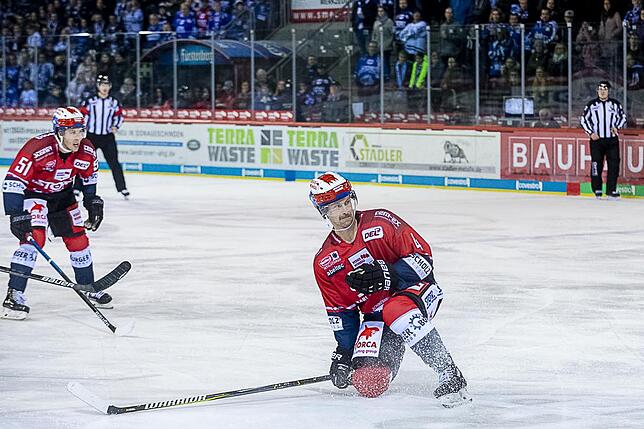 Bild 25: Die Wild Wings siegen wieder in der Deutschen Eishockey-Liga