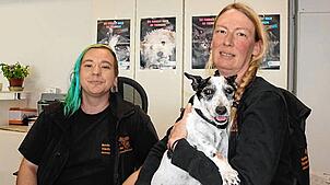Welcher Hund passt zu mir? Diese Frage können Mitarbeiter im Kreistierheim Schwarzwald-Baarkreis wie Jaden Joel Weisser (von links) und ...