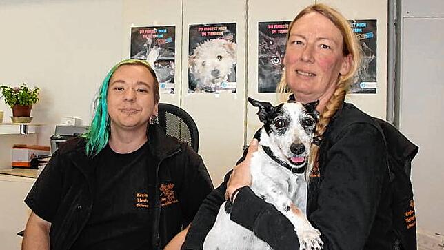 Welcher Hund passt zu mir? Diese Frage können Mitarbeiter im Kreistierheim Schwarzwald-Baarkreis wie Jaden Joel Weisser (von links) und ...