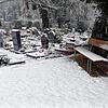 Die klassischen Reihengräber wie im Bild auf dem Friedhof in Singen kosten zwischen 300 und 1310 Euro. Andere Bestattungsformen werden ...