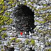 Seit Jahren ist die idyllisch gelegene Elsenau mit der Marienstatue in ihrer Grotte über dem Wasserfall ein wichtiger und bekannte ...