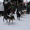 Bild :
