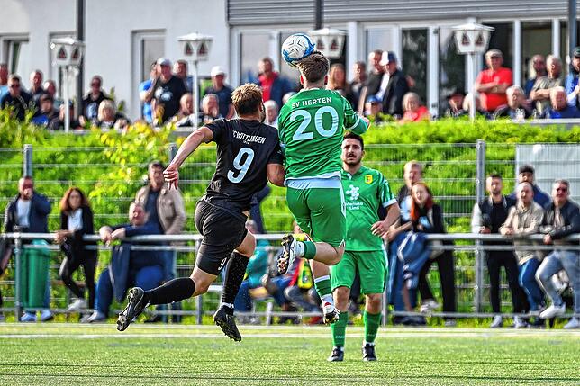 Bild 18: FC Wittlingen sichert sich mit 2:1 beim SV Herten den Meistertitel – und wir haben Fotos!