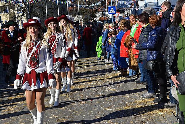 Bild 6: Bilder vom Narrentreffen der Urviecher-Zunft Bad Dürrheim: Großer Festumzug (3)
