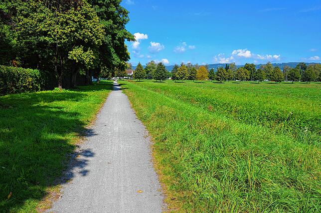 Dieser Fußweg führt zum Glaspavillon am Schloss. Der Graben rechts ist nach Angaben von Ulrich Knapp ein Rest eines Systems zum Sammeln ...