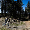 Jugendliche Freerider haben bei Gailingen eine Mountainbike-Strecke, vergleichbar mit dieser im Bild, selbst hergestellt. Bald soll ...