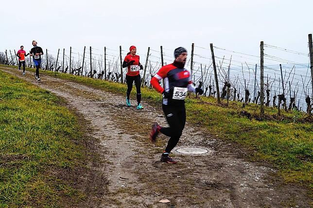 Bild 6: Bilder vom Crosslauf Hegau-Bodensee in den Reben oberhalb der Haltnau