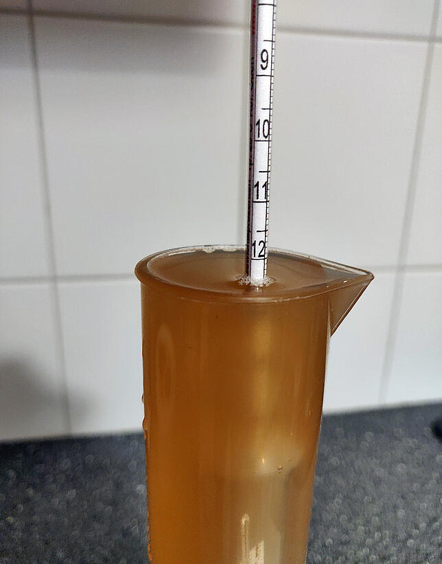 Bild 6: Brautagebuch von Lukas Kromer: So braut man eigenes Bier