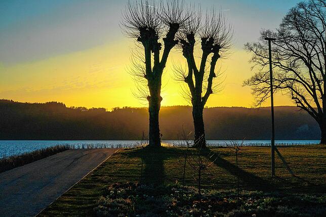 Sonnenuntergang über dem LGS-Gelände mit zwei der nicht gefällten Platanen &ndash; am Westende des Uferparks