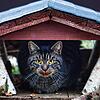 Diese Katze wartet an der Quelle auf ihre Beute: Katzen stellen für die heimische Vogelpopulation eine große Bedrohung dar. Zwar ist ...