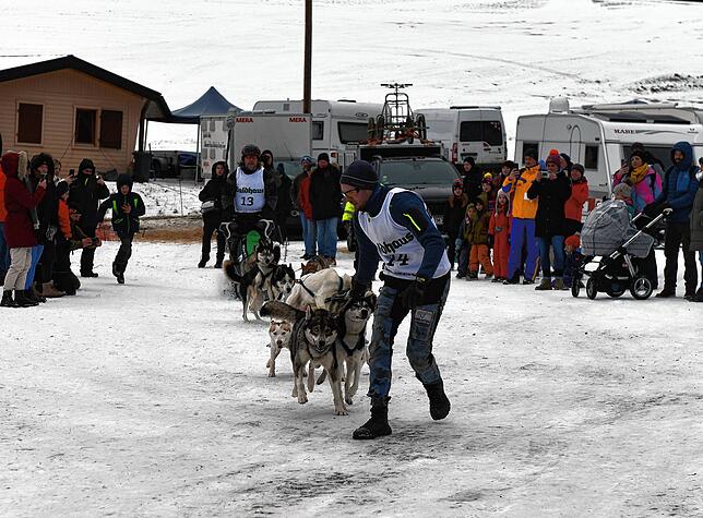 Besucher können die Huskys im Trainingslager beobachten.