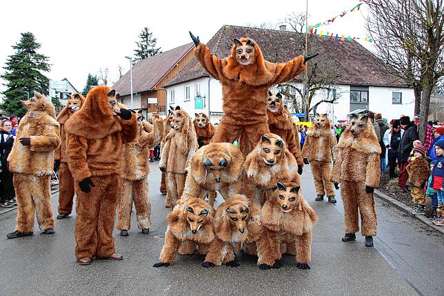 Erstmals beehrten die Untersigginger Füchse den Umzug in Wald und zeigten eine „Fuchs-Pyramide“. Der Narrenverein feiert ...