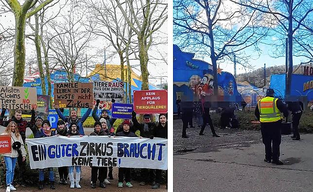 Tierschützer demonstrieren regelmäßig vor dem Zirkus. Rechts zu sehen: Die Schlägerei mit der Polizei vor dem Zirkuszelt.