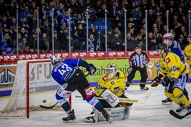 Bild 9: Bilder: Wild Wings vs. Krefeld Pinguine