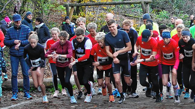 Los geht&lsquo;s: Mit Tempo ging es bei der Waldlauf-Bezirksmeisterschaft auf die Kurzstrecke, bei der die Teilnehmer drei Runden um den ...