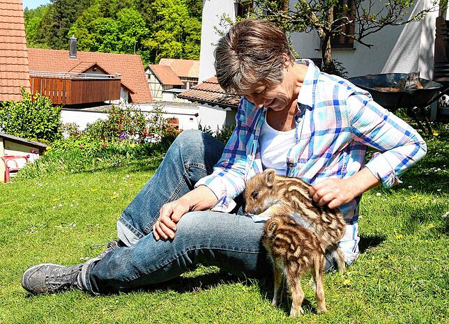 Zum zweiten Mal päppelt die Freudentalerin Ulrike Renner Wildschwein-Ferkel auf.