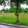 Bis zum &bdquo;Postbühl&ldquo; soll das geplant Gewerbegebiet bei Andelshofen nach einem Flächentausch reichen. Hier könnte auch eine ...