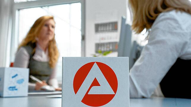 Ein Beratungsgespräch bei der Agentur für Arbeit (Symbolbild). Im Februar sank die Zahl der Arbeitslosen in den Landkreisen Lörrach und ...