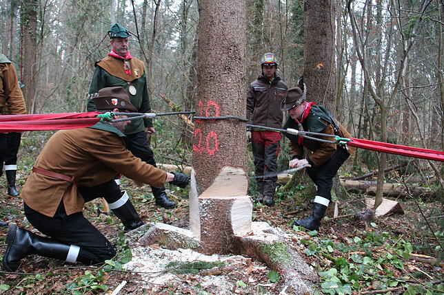 Bild 8: Bilder vom Einholen der Narrenbäume der Narrizella Ratoldi und der Froschenzunft im Altbohlwald
