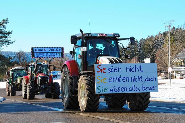 Bild 9: Bauern protestieren gegen Sparpläne: Bilder vom Traktorkorso zur Brauerei Rothaus
