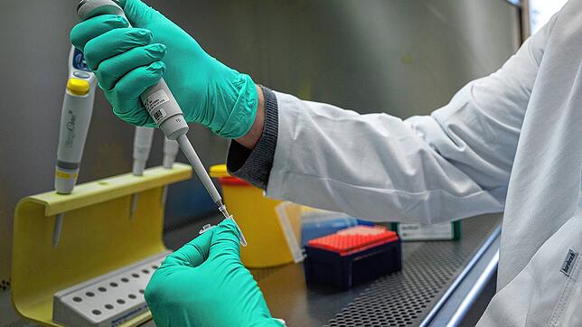 Hier wird ein PCR-Test für die Analyse auf Mutationen des Coronavirus wird vorbereitet wird.