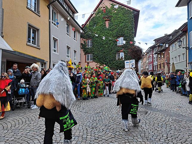 Bild 33: Großer Umzug am Fasnachtsmändig - Bilder