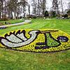 30.000 Blumen pflanzt die Stadtgärtnerei jeden Frühling. Aus einigen von ihnen gestaltet Stadtgärtner Jan Schmid liebevolle Motive, wie ...