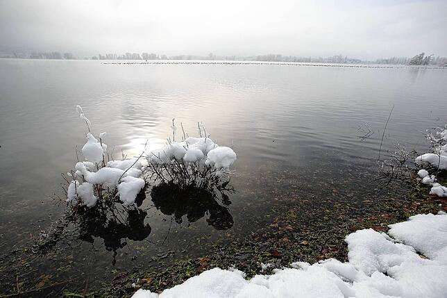 Bild 8: Schöne Seiten des Schnees: Bilder vom Winterwunderland Hegau, Radolfzell, Höri und Raum Stockach