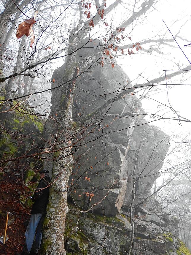 Auf diesem Bild sieht man im Vergleich zur Person unten am Baum, wie groß der Felsturm ist, der von der Geschwender Halde abzustürzen droht.