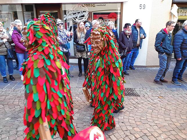 Bild 13: So bunt ist der Umzug beim großen Narrentreffen in Tiengen