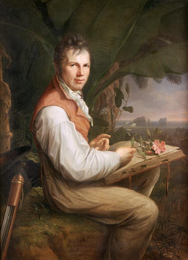 Alexander von Humboldt in einem Gemälde von Friedrich Georg Weitsch (1806).