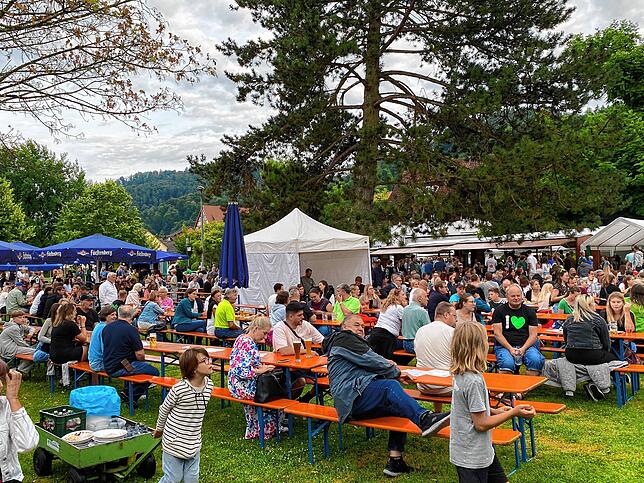 Bild 14: Strandfest des TSV Bodman
