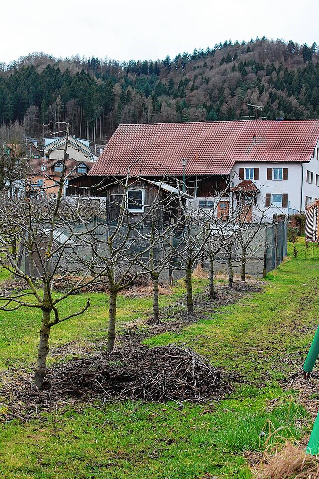 Das war das Nest. Mit einem ordentlichen Schwung hat es sich beim Absenken des Podests selbstständig gemacht und ist zu Boden gefallen. ...