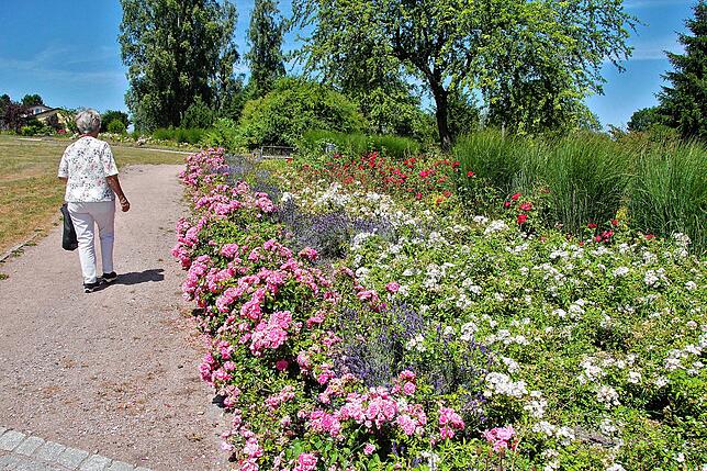 Bild 12: Bilder vom Villinger Hubenloch und dem Rosengarten