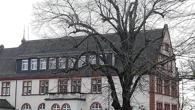 An der Nordseite der Gemeinschaftsschule ist der Aufzug geplant.