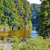 Der Daisendorfer Neuweiher in einer Aufnahme von 2018. Auf unbekannte Art und Weise ist jetzt eine Flüssigkeit in das Gewässer gelangt.