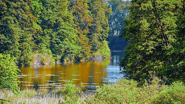 Der Daisendorfer Neuweiher in einer Aufnahme von 2018. Auf unbekannte Art und Weise ist jetzt eine Flüssigkeit in das Gewässer gelangt.