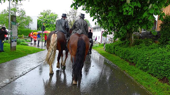 Bild 30: Bilder vom Georgiritt in Limpach im Deggenhausertal am Muttertag