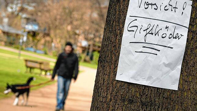 Ein Zettel warnt in einem Park vor Giftködern. Viele Hundebesitzer sorgen sich bei derartigen Meldungen sehr um ihre Tiere.