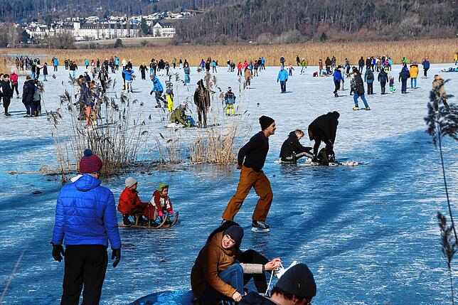 Bild 5: Tausende Eisläufer auf dem Gnadensee neben dem Inseldamm zur Reichenau: Verwirrung herrscht darüber, ob dies überhaupt erlaubt ist
