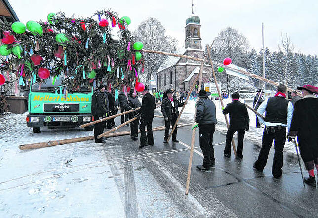 Experten im Narrenbaumstellen: die Zimmerzunft Sumpfohren errichtet mit vereinten Kräften den Narrenbaum in der Dorfmitte.