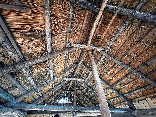Das Dach der Pfahlbauten im Museum war schon vor hundert Jahren mit heimischen Hölzern konstruiert und mit Schilf aus der Mauracher ...