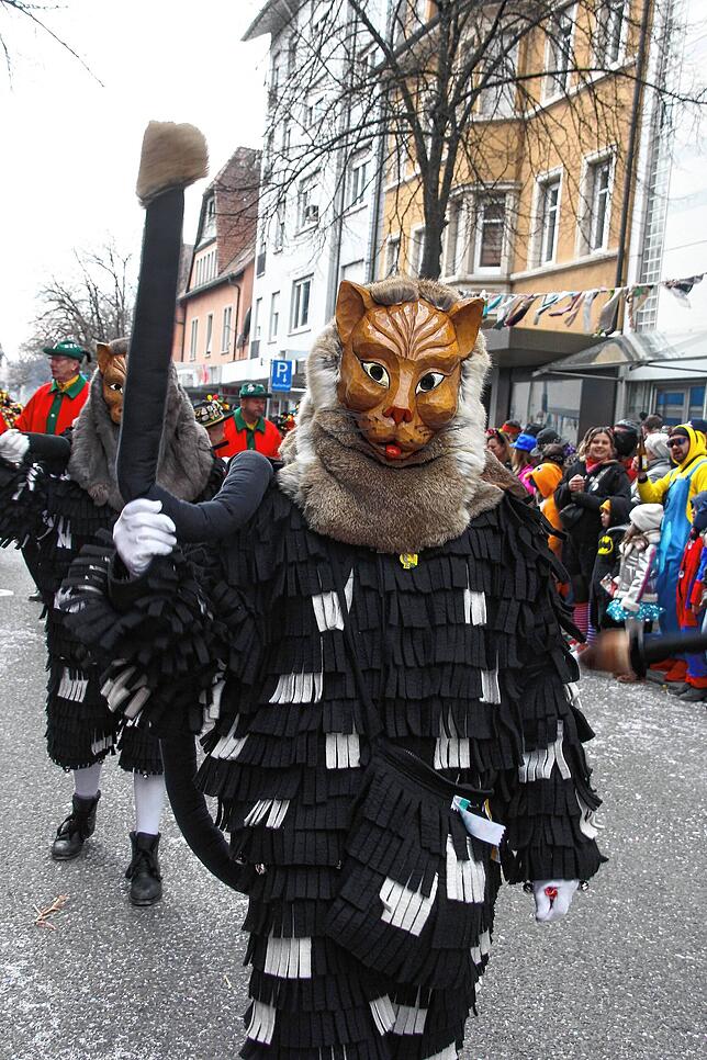 Bild 28: Sonne für die Narren: Großer Fasnet-Umzug begeistert in Singen!