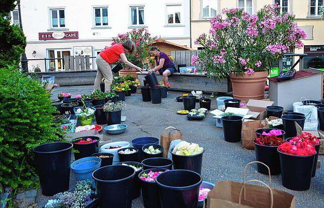 Vor der Kirche werden die Blüten nach Farbe sortiert.